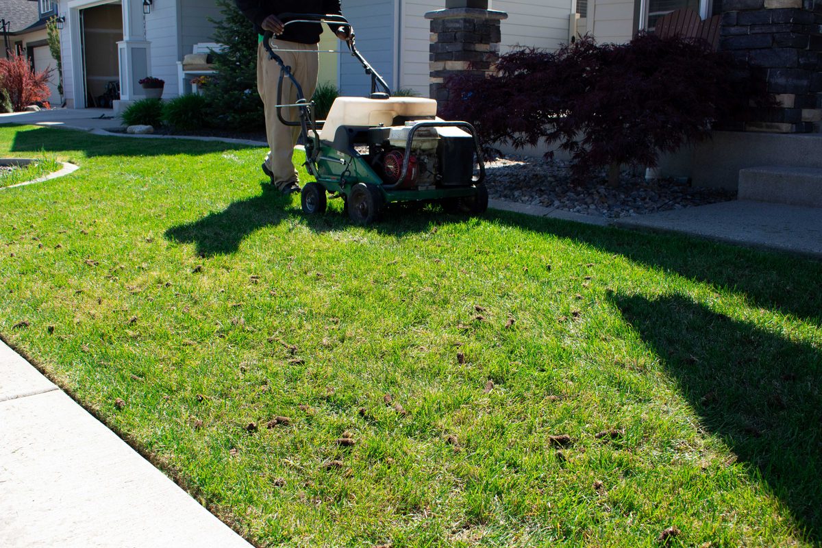 Lawn Aeration