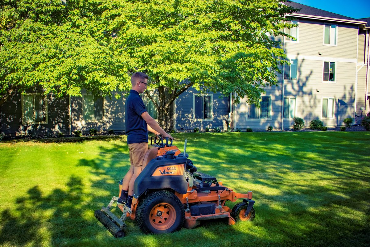 Lawn Maintenance & Mowing