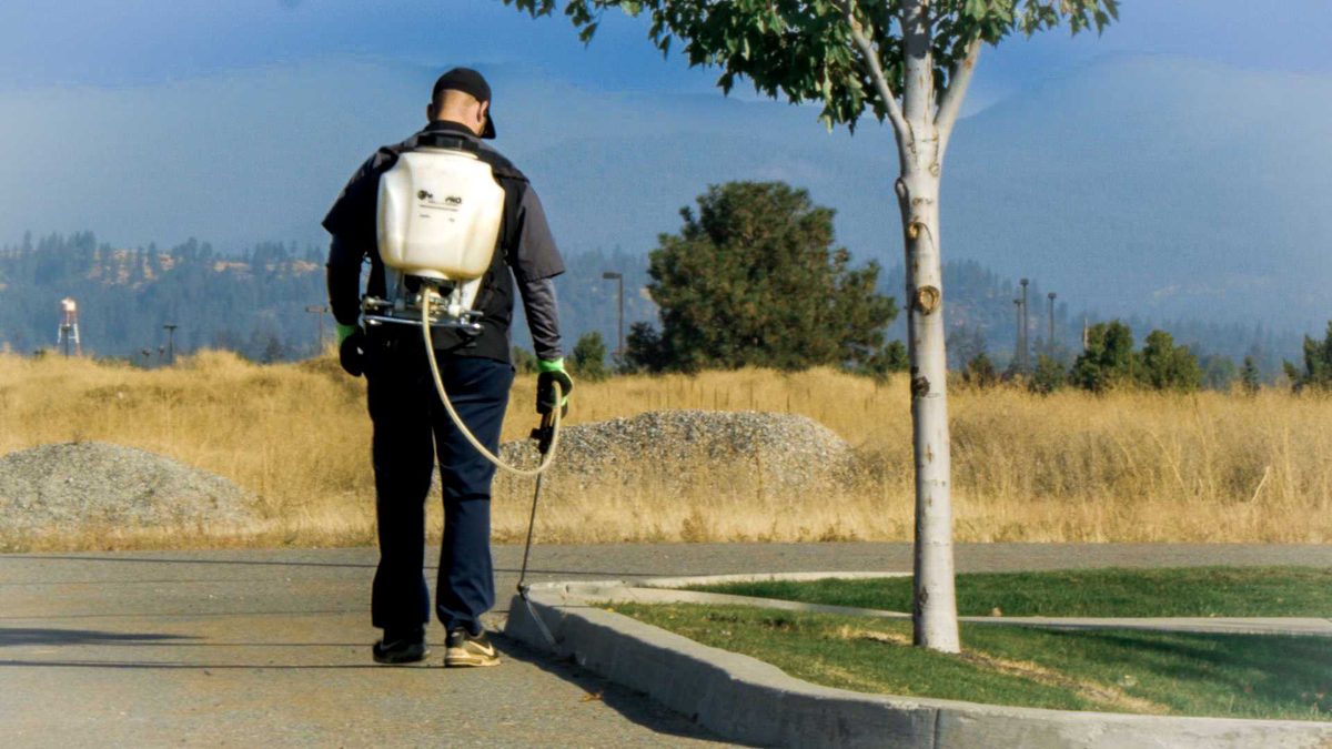 Lawn Pest Control