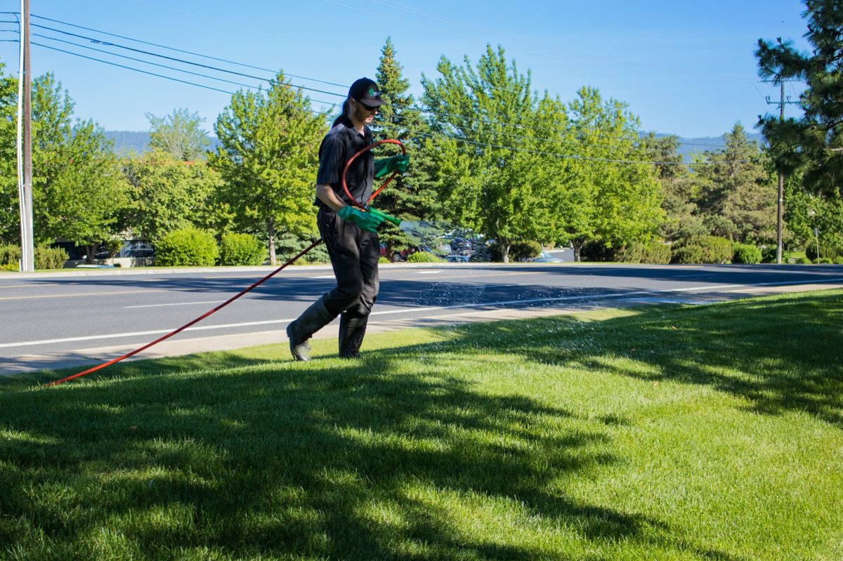 Weed Control & Fertilization